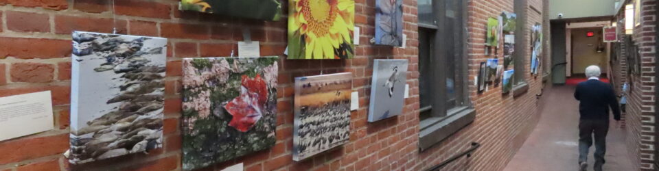 Riverfront Gallery